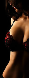 �����Y�A���}�X�|�b�g�@�o���}�b�T�[�W�@�r�r�A������