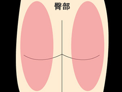 リンパマッサージ 紙パンツ